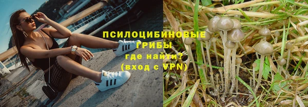 2c-b Арсеньев
